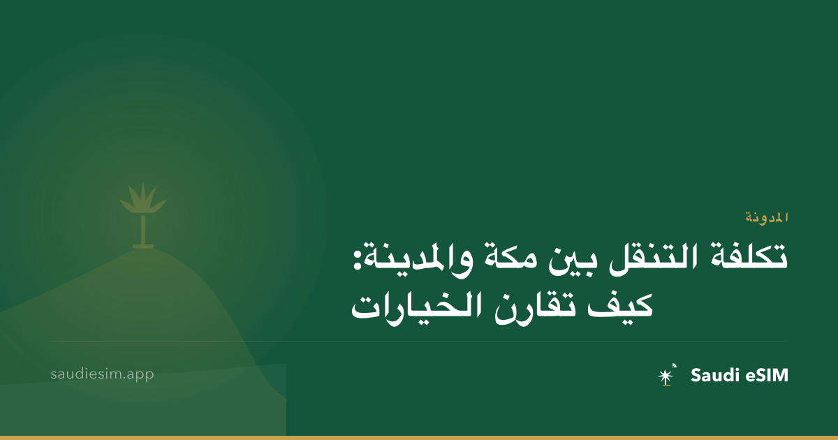 تكلفة التنقل بين مكة والمدينة: كيف تقارن الخيارات
