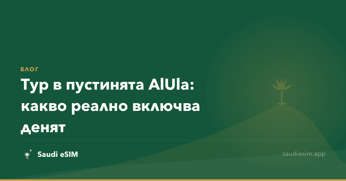 Тур в пустинята AlUla: какво реално включва денят