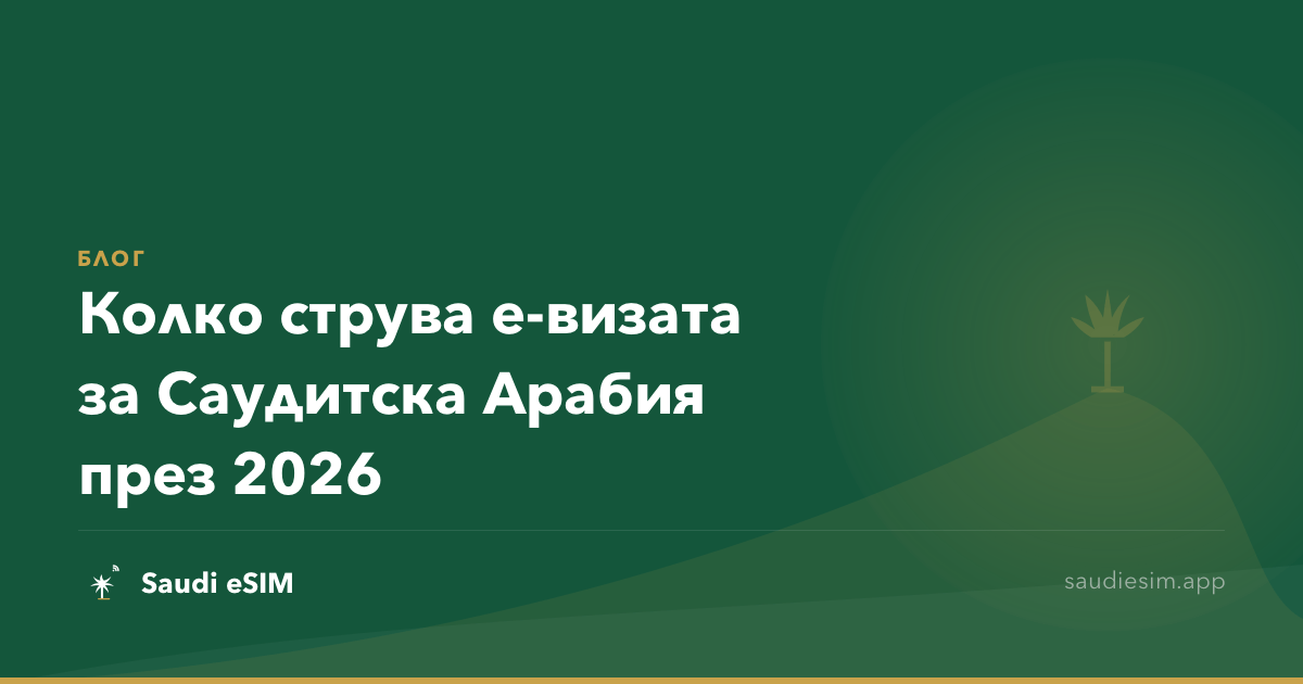 Колко струва е-визата за Саудитска Арабия през 2026