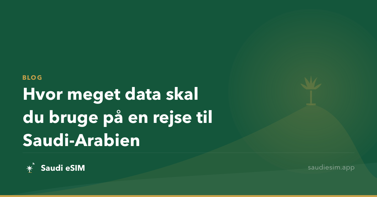 Hvor meget data skal du bruge på en rejse til Saudi-Arabien