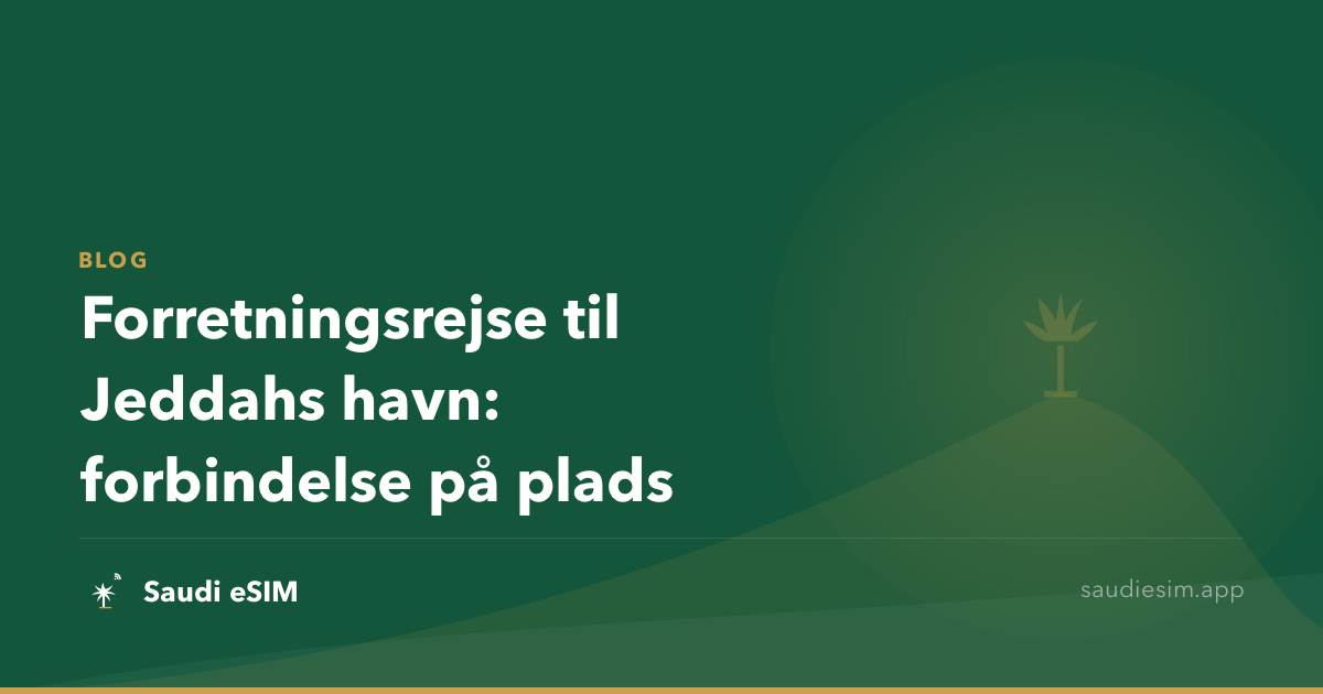 Forretningsrejse til Jeddahs havn: forbindelse på plads