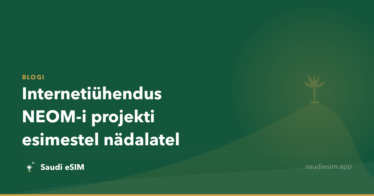 Internetiühendus NEOM-i projekti esimestel nädalatel