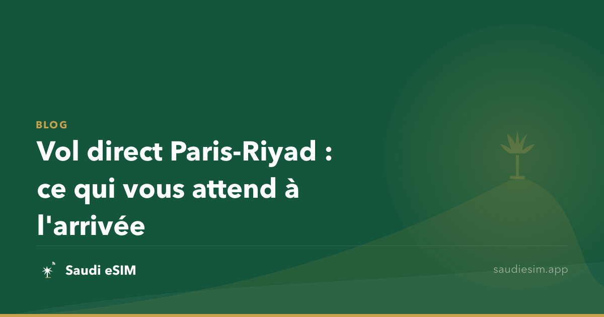 Vol direct Paris-Riyad : ce qui vous attend à l'arrivée