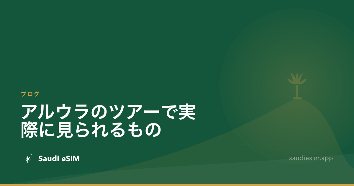 アルウラのツアーで実際に見られるもの