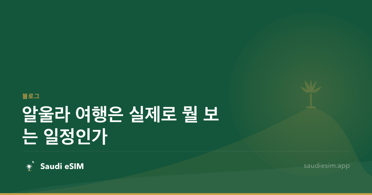 알울라 여행은 실제로 뭘 보는 일정인가