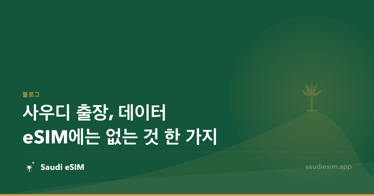 사우디 출장, 데이터 eSIM에는 없는 것 한 가지