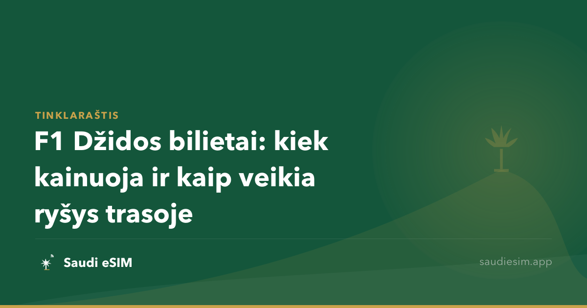 F1 Džidos bilietai: kiek kainuoja ir kaip veikia ryšys trasoje