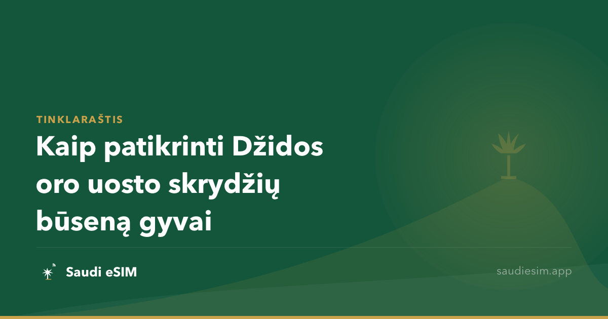 Kaip patikrinti Džidos oro uosto skrydžių būseną gyvai