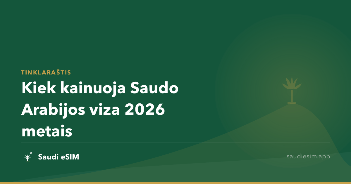 Kiek kainuoja Saudo Arabijos viza 2026 metais