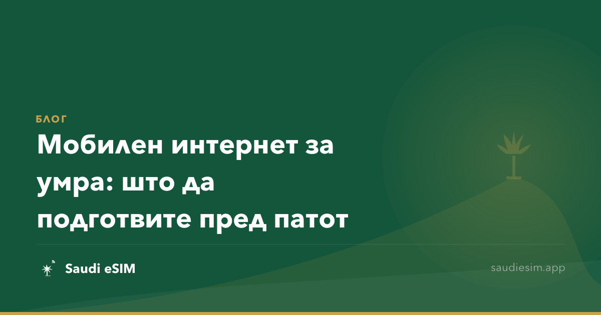 Мобилен интернет за умра: што да подготвите пред патот