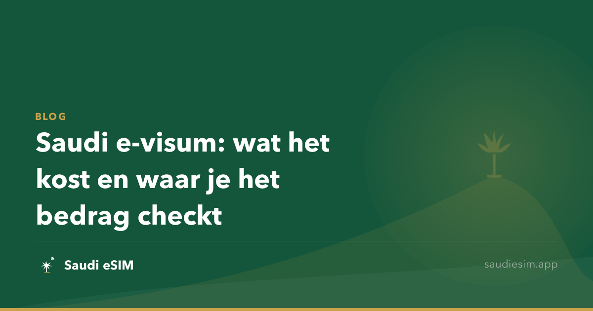 Saudi e-visum: wat het kost en waar je het bedrag checkt