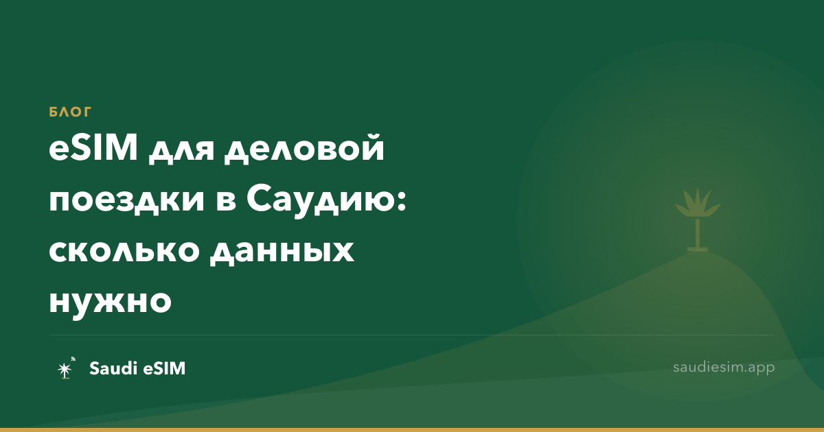 eSIM для деловой поездки в Саудию: сколько данных нужно
