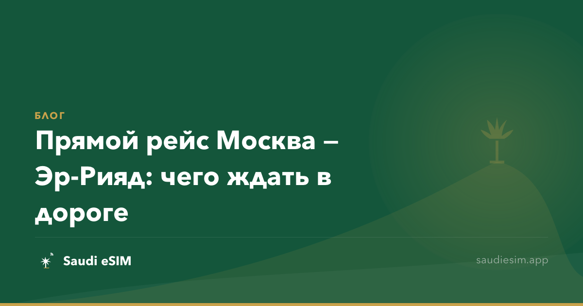 Прямой рейс Москва — Эр-Рияд: чего ждать в дороге