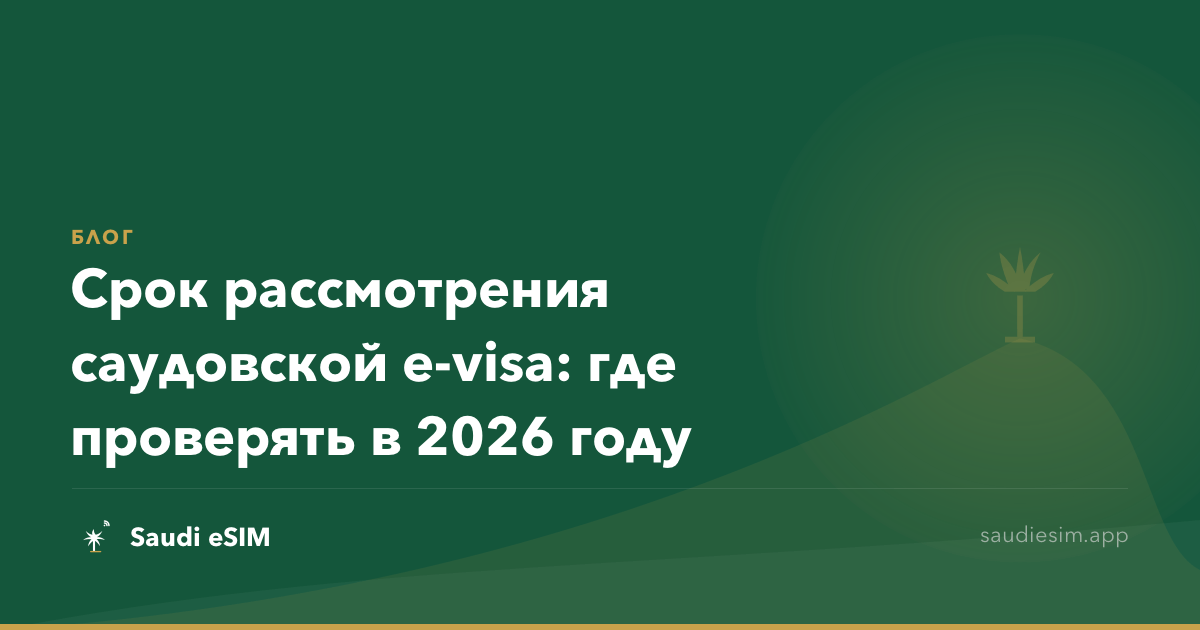 Срок рассмотрения саудовской e-visa: где проверять в 2026 году