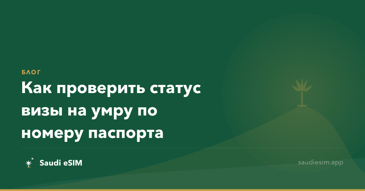 Как проверить статус визы на умру по номеру паспорта