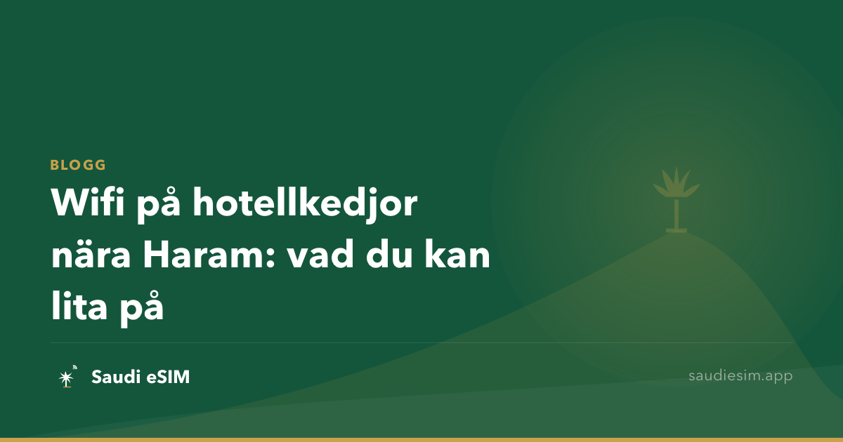 Wifi på hotellkedjor nära Haram: vad du kan lita på