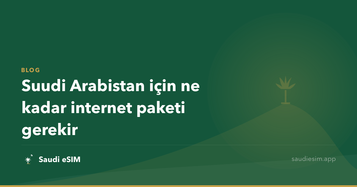 Suudi Arabistan için ne kadar internet paketi gerekir