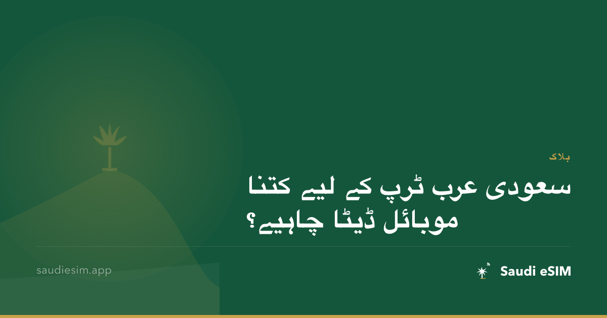 سعودی عرب ٹرپ کے لیے کتنا موبائل ڈیٹا چاہیے؟