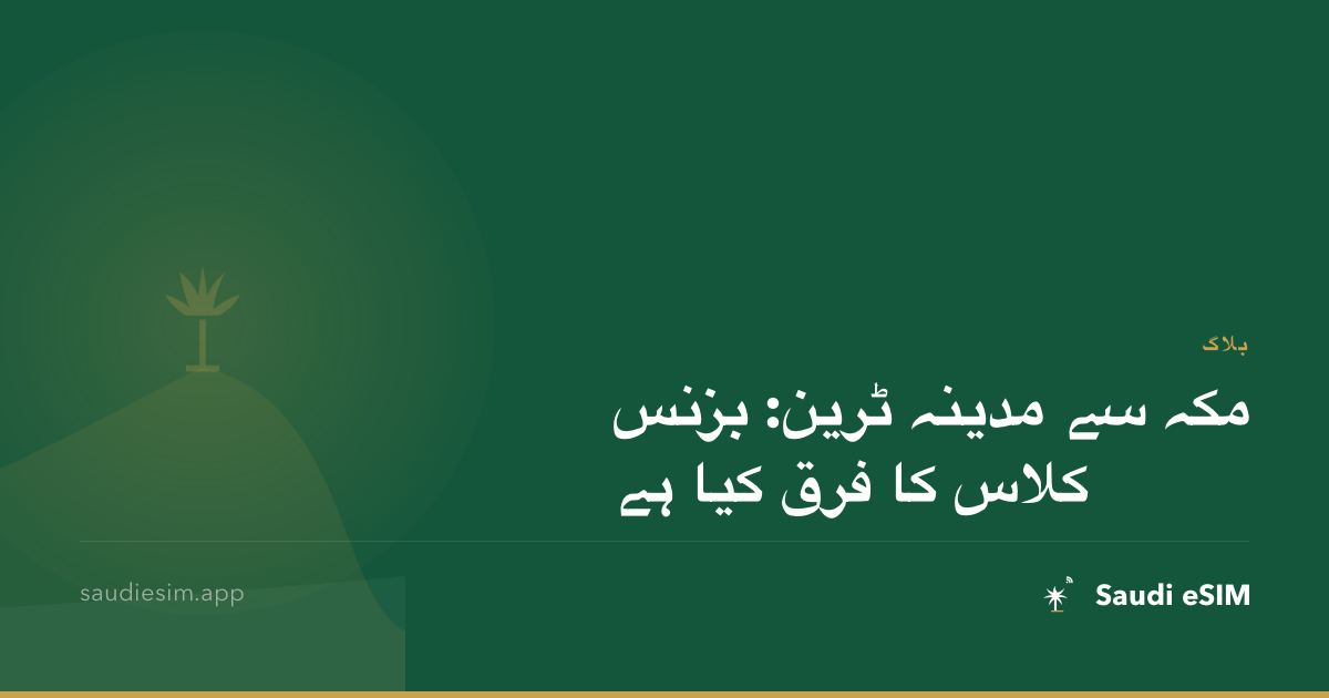 مکہ سے مدینہ ٹرین: بزنس کلاس کا فرق کیا ہے