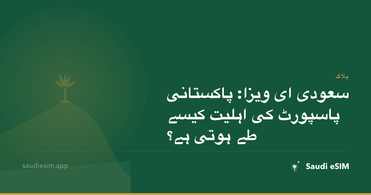 سعودی ای ویزا: پاکستانی پاسپورٹ کی اہلیت کیسے طے ہوتی ہے؟