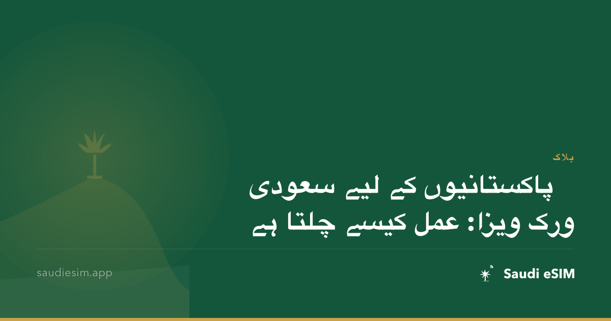 پاکستانیوں کے لیے سعودی ورک ویزا: عمل کیسے چلتا ہے