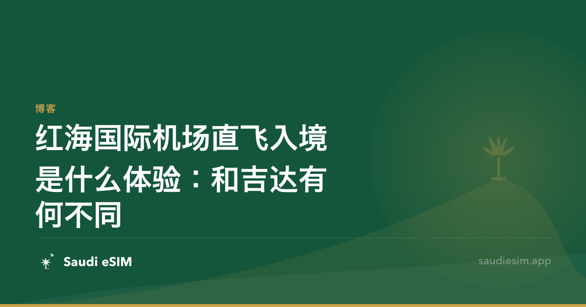 红海国际机场直飞入境是什么体验：和吉达有何不同