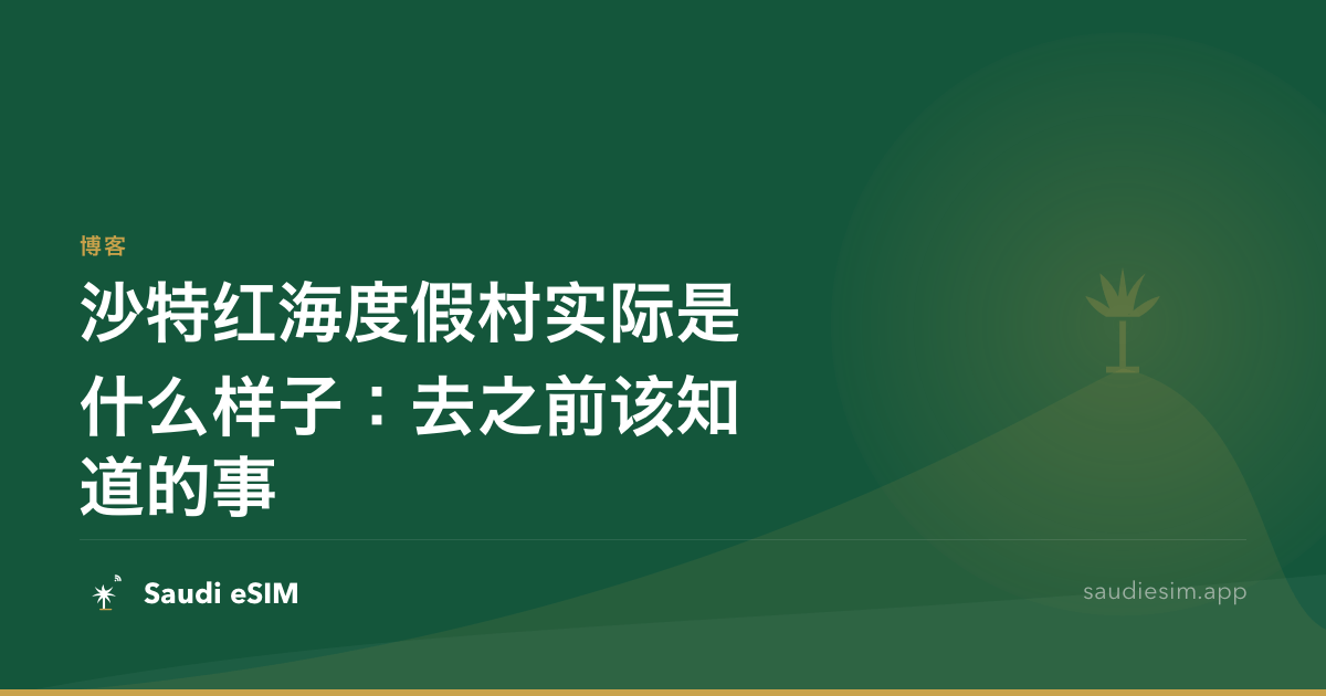 沙特红海度假村实际是什么样子：去之前该知道的事